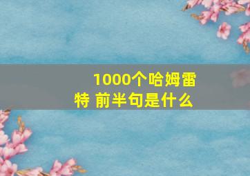 1000个哈姆雷特 前半句是什么